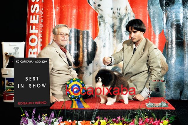 Clique sobre a foto para fechar